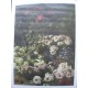 Kunstdruck "Claude Monet - Fleurs Printanieres"