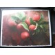 Kunstdruck "Bob Stone - Apples From The Garden At Springhouse"