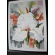 Kunstdruck "Elaine Jackson - Iris"