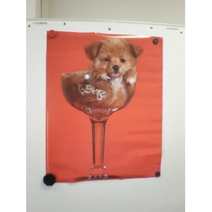 Poster - Hundecoctail